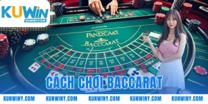 cach choi baccarat thumb