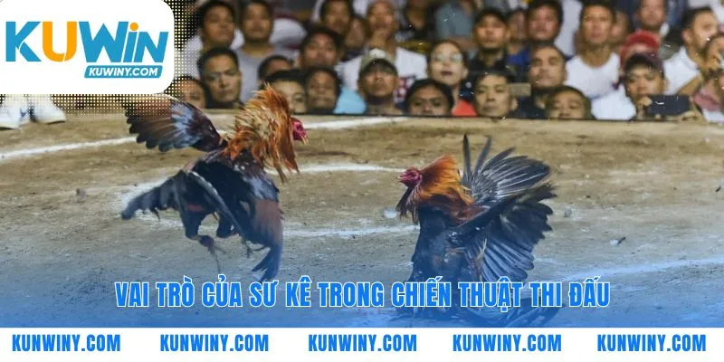 Người đứng sau vinh quang của mỗi chiến kê